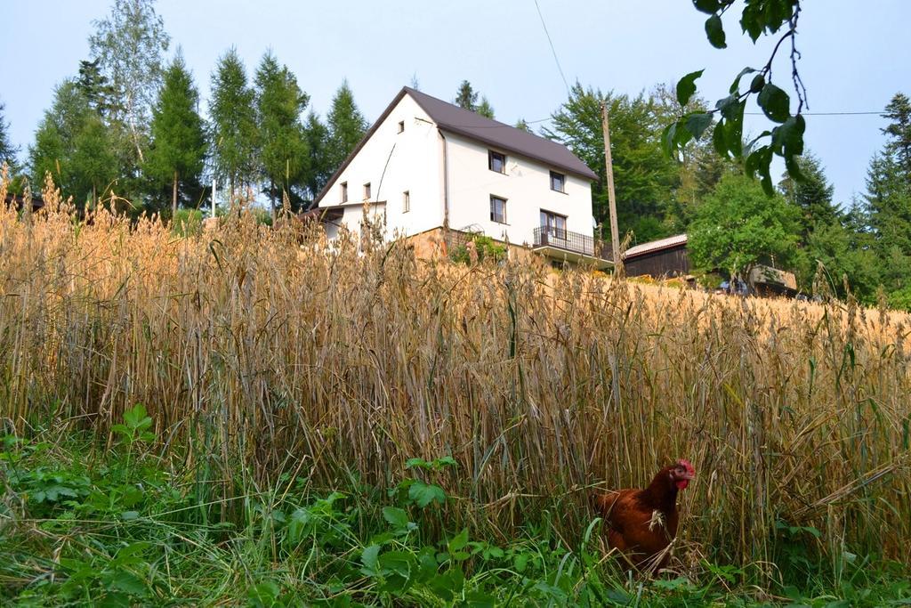 Kwatera Pod Lasem Istebna Dış mekan fotoğraf